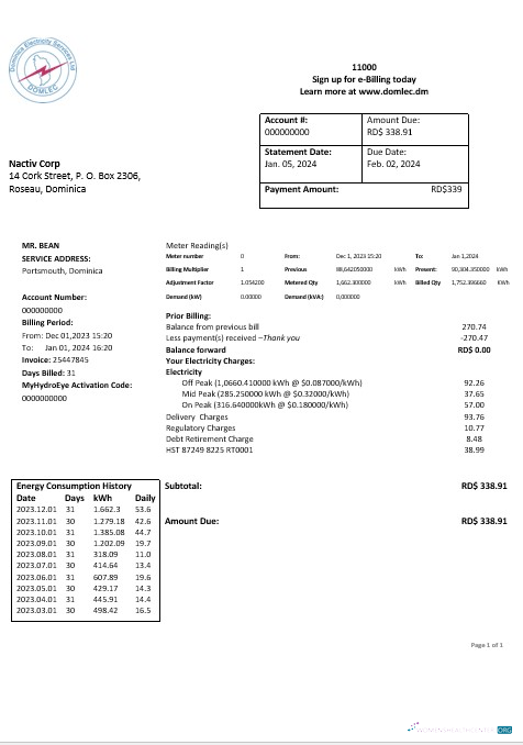 Dominica Electricity Services Limited electricity business utility bill word and pdf formats